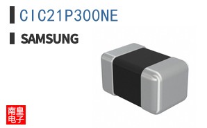 CIC21P300NE
