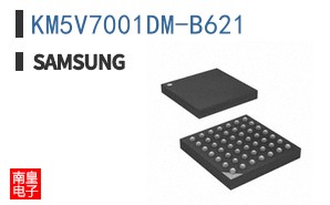 KM5V7001DM-B621