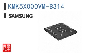 KMK5X000VM-B314