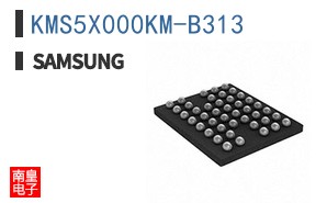 KMS5X000KM-B313