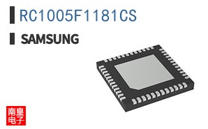 RC1005F1181CS