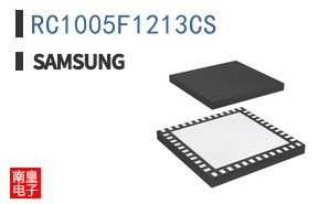 RC1005F1213CS