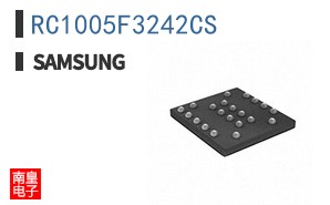RC1005F3242CS