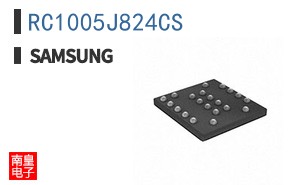RC1005J824CS