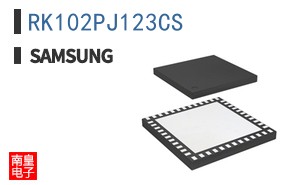 RK102PJ123CS