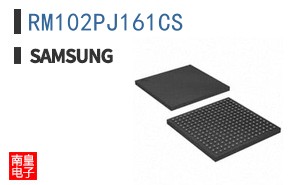 RM102PJ161CS