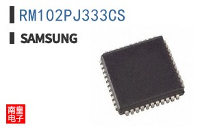 RM102PJ333CS