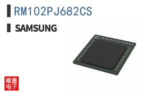 RM102PJ682CS