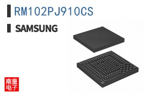 RM102PJ910CS