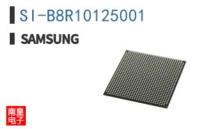 SI-B8R10125001