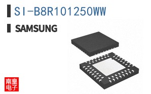 SI-B8R101250WW