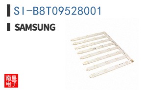 SI-B8T09528001